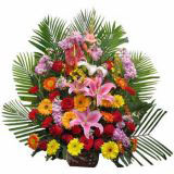 Ѻʻٵ