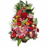 Ѻʻٵ